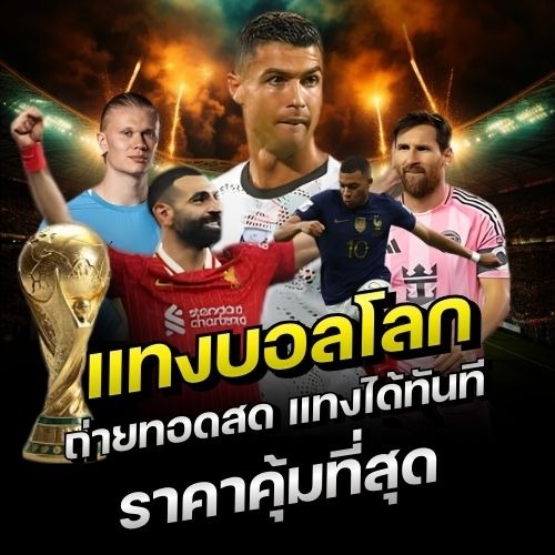 แทงบอล โลก 2026